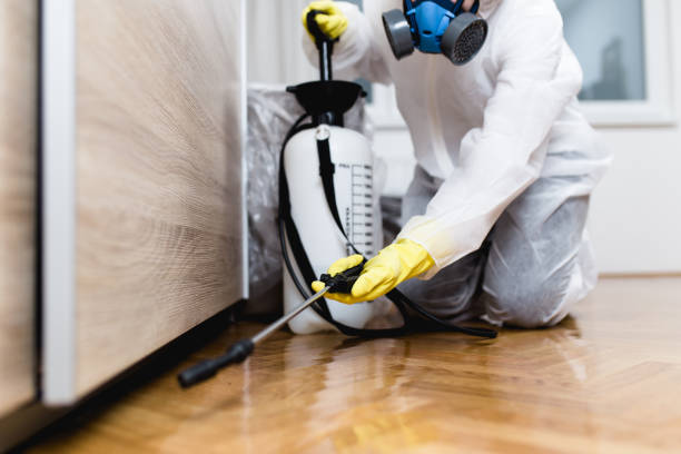 Best Commercial Pest Control Services  in Kingman, KS