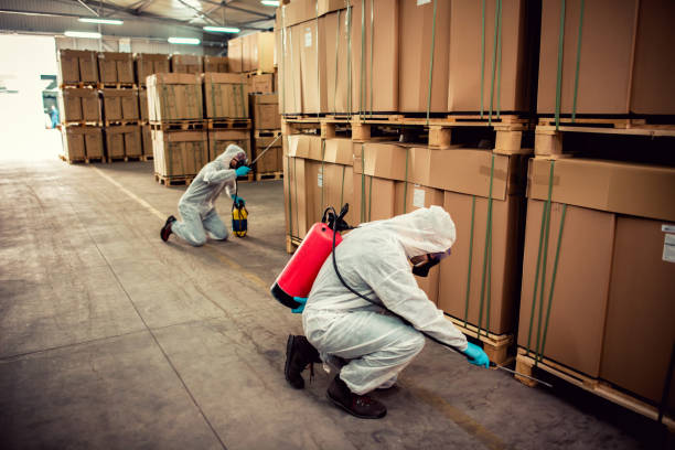 Best Exterminator Services  in Kingman, KS