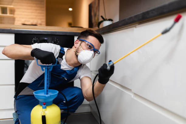 Best Termite Control Services  in Kingman, KS