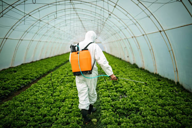 Best Local Pest Control Services  in Kingman, KS