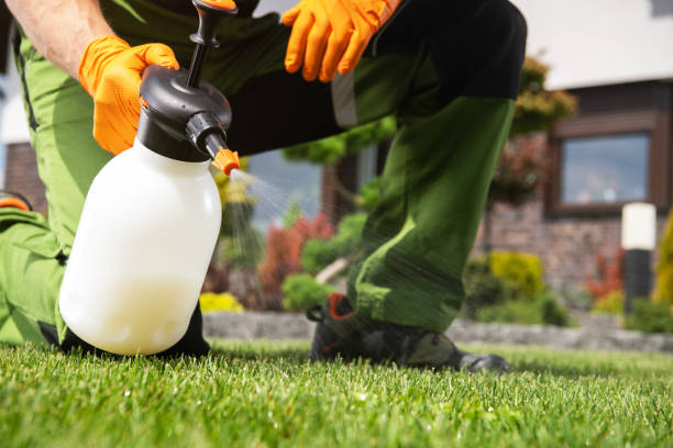 Best Flea Control Services  in Kingman, KS