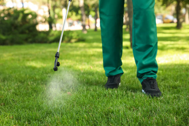 Best Insect Control  in Kingman, KS