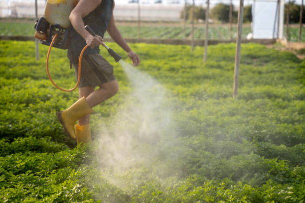 Best Local Pest Control Services  in Kingman, KS
