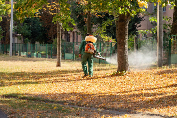 Best Cockroach Control Services  in Kingman, KS