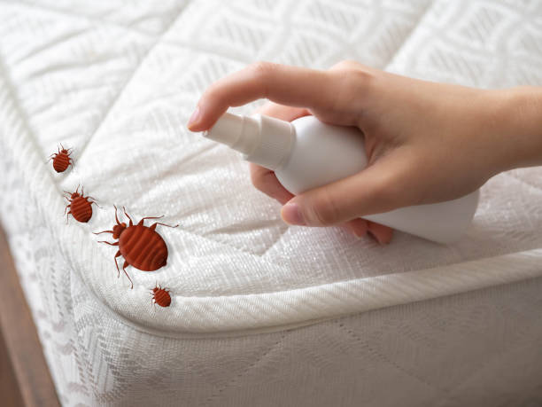 Best Affordable Pest Control Services  in Kingman, KS