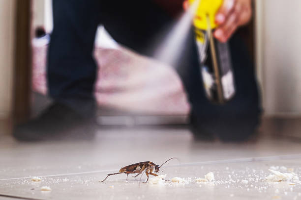 Best Pest Removal Services  in Kingman, KS